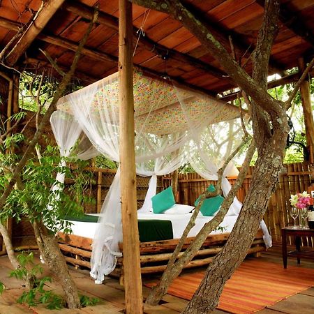 The Saraii Tree Lodge Tissamaharama Eksteriør bilde