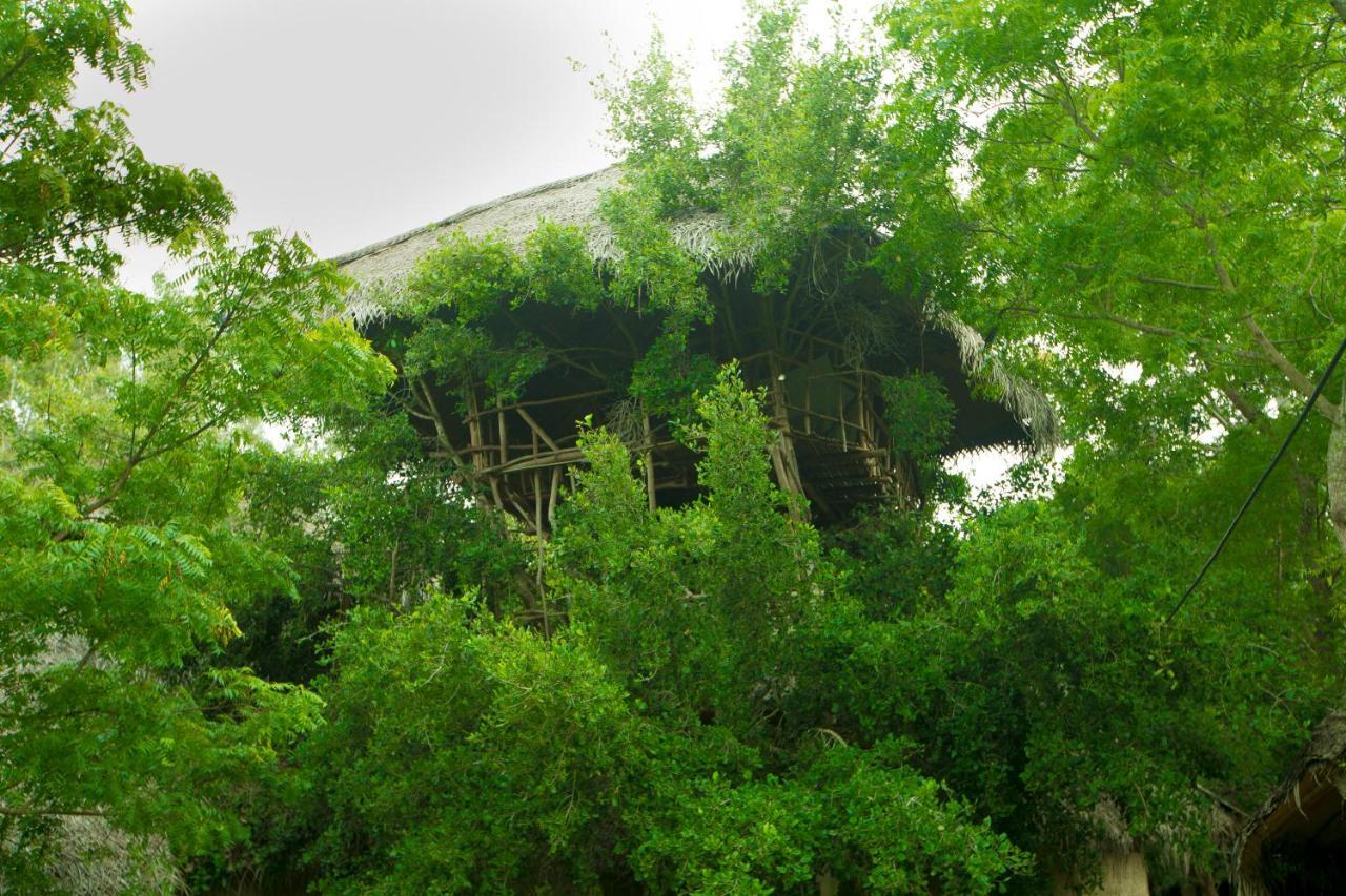 The Saraii Tree Lodge Tissamaharama Eksteriør bilde