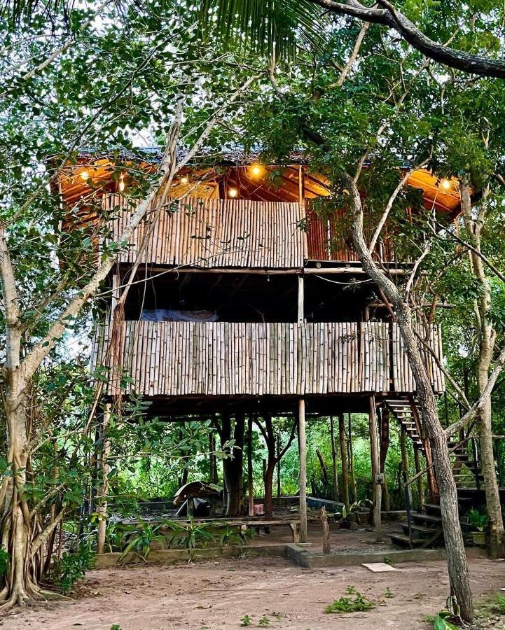 The Saraii Tree Lodge Tissamaharama Eksteriør bilde