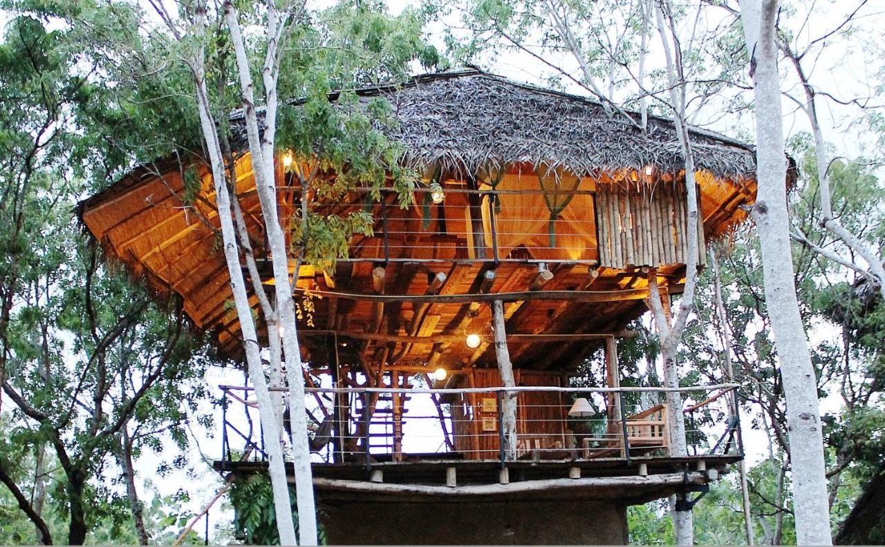 The Saraii Tree Lodge Tissamaharama Eksteriør bilde