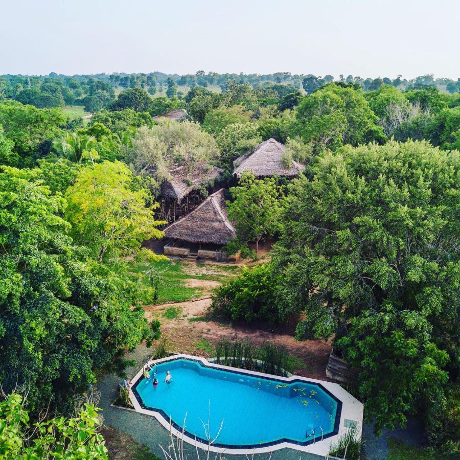 The Saraii Tree Lodge Tissamaharama Eksteriør bilde